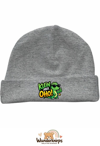 Umschlagmütze Rox-01 in Grau meliert mit Motiv Dino Klein, aber oho